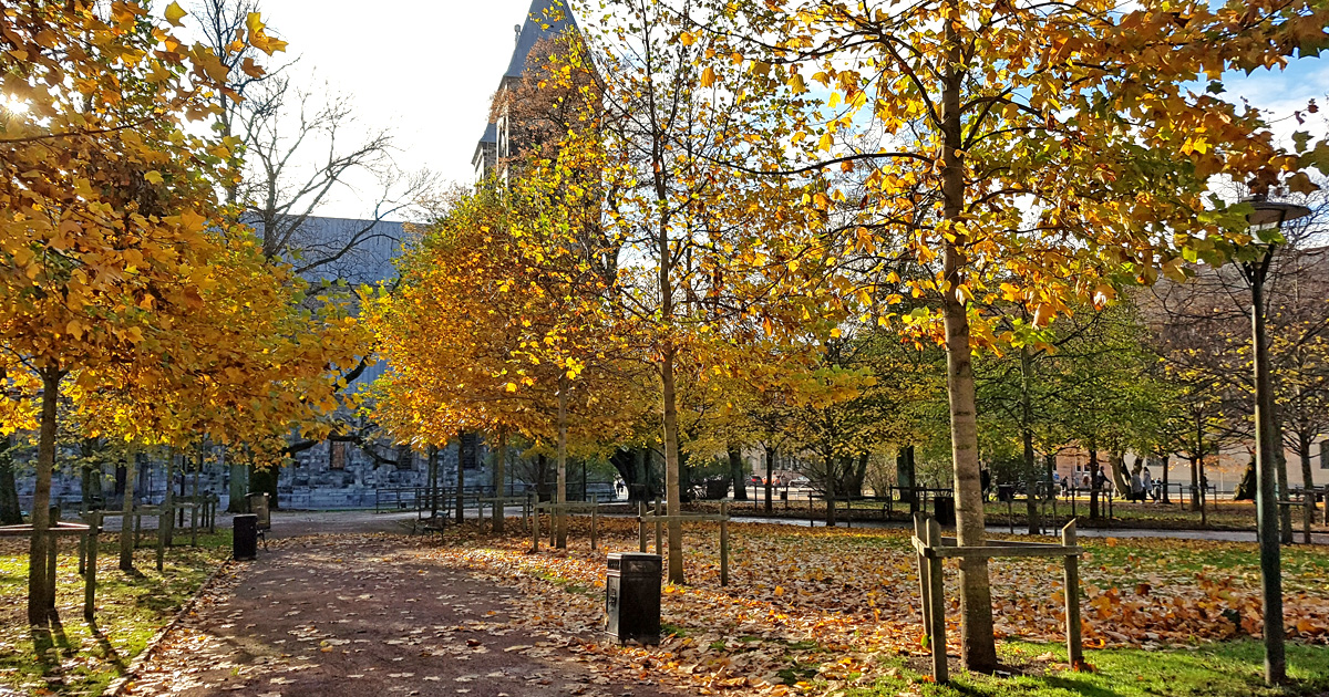 Parken Lundagård som var platsen för den skandinaviska ärkebiskopens residens under medeltiden