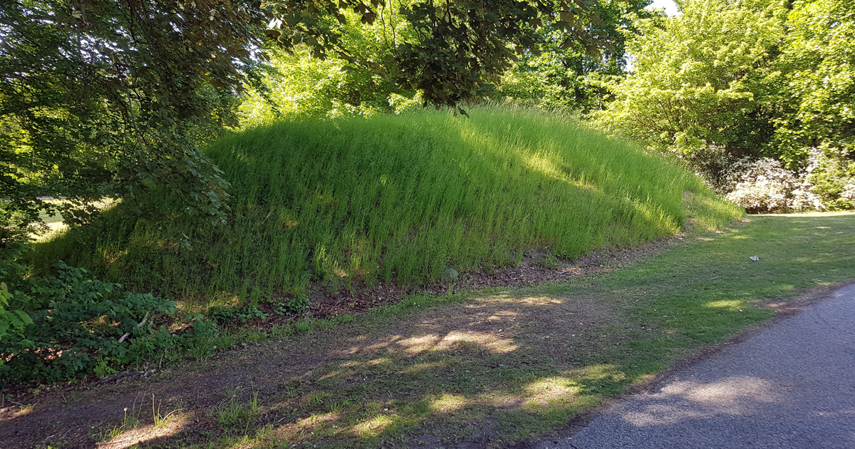 Lerbäckshög i Lund som den ser ut från Kävlingevägen idag